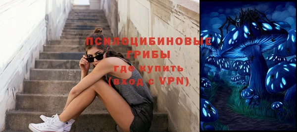 PSILOCYBIN Елизово